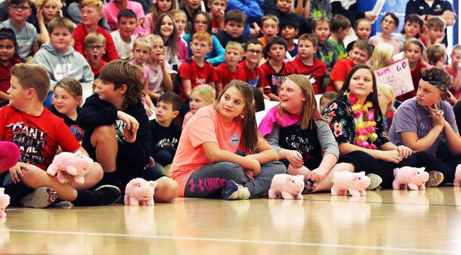 Cedar Hollow Elementary pig races